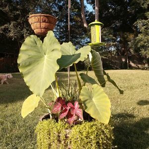 Meet your Posher, Jeremy